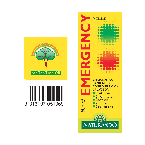 img-8f98c1f1-0704-40a0-a375-0d6258895f64.png
