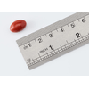 img-5eafa7b4-5c92-480b-b324-5c5e301c7951.png