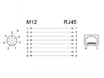 DeLOCK---Netzwerkadapter---8-polig-M12--W--gerade-bis-RJ-45--W--gewinkelt---CAT-6a---Schwarz--66314-