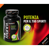 img-665ddf6b-d467-486a-ad77-7069df5d7557.png