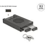 Delock 3.5? Wechselrahmen f¼r 2 x M.2 NVMe SSD mit Slim SAS SFF-8654 Anschluss (47117)