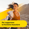 img-d0667f29-f614-4b90-8789-b7dedc9563ee.png