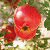 img-4ed26edf-3c8a-4fd2-aa62-1f7e19d21f40.png