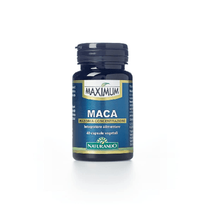 maximum - maca