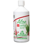 aloe - vera