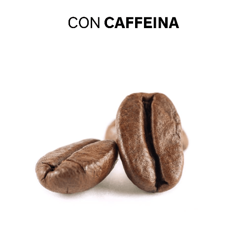img-b380e1c8-17d9-464f-a6e4-51e20e64f64c.png