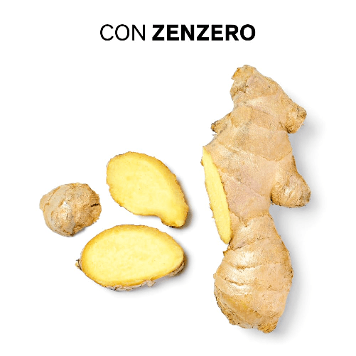 img-bfa8a229-6b75-4e21-acfd-7f05a70266e7.png