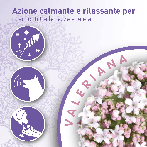 img-4243cc82-7381-4f6f-bb6a-b0d18a7cede3.png