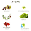 img-eee8fb90-39df-42a1-878f-291707f49eae.png
