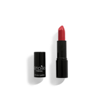 rougj plump lipstick 04