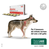 img-cfe0a717-a07c-4af5-9074-d6d1443ffb70.png