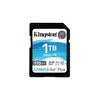 1TB-SDXC-CANVAS-GO-PLUS---170R-C10-UHS-I-U3-V30