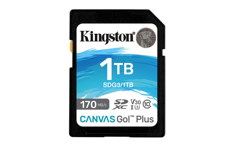 1TB-SDXC-CANVAS-GO-PLUS---170R-C10-UHS-I-U3-V30