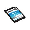 1TB-SDXC-CANVAS-GO-PLUS---170R-C10-UHS-I-U3-V30