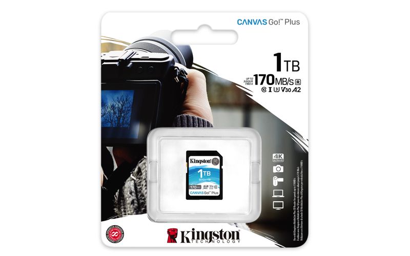 1TB-SDXC-CANVAS-GO-PLUS---170R-C10-UHS-I-U3-V30