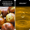 img-a3d3605b-389a-4535-aa11-ab5aeaf5f539.png