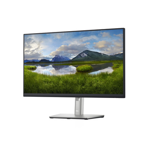 DELL-Monitor-24---P2422H
