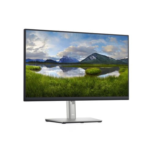 DELL-Monitor-24---P2422H