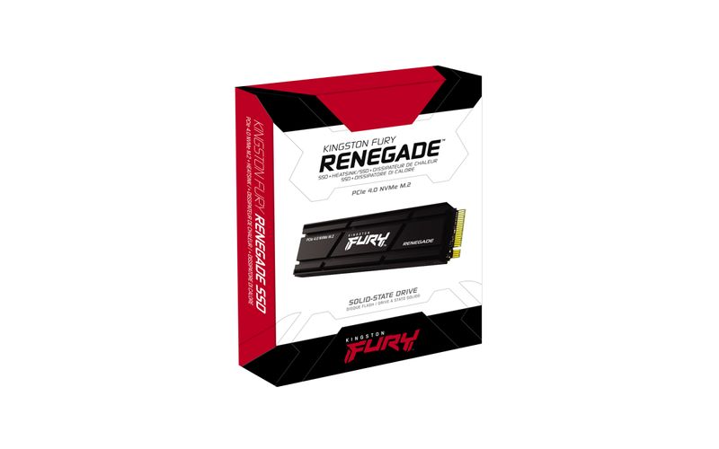 Kingston-Technology-4000G-RENEGADE-PCIe-4.0-NVMe-SSD-W--Dissipatore-di-calore--KFR-4000G-M.2-NVMe-SSD-