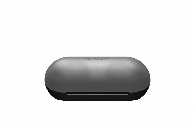 Sony-WF-C500---Auricolari-True-Wireless-Fino-a-20-ore-di-durata-della-batteria-con-custodia-di-ricarica-Compatibile-con-l-Assistente-Vocale-Microfono-integrato--Nero-