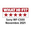 Sony-WF-C500---Auricolari-True-Wireless-Fino-a-20-ore-di-durata-della-batteria-con-custodia-di-ricarica-Compatibile-con-l-Assistente-Vocale-Microfono-integrato--Nero-