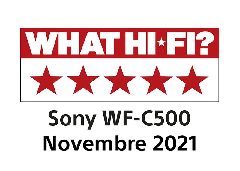 Sony-WF-C500---Auricolari-True-Wireless-Fino-a-20-ore-di-durata-della-batteria-con-custodia-di-ricarica-Compatibile-con-l-Assistente-Vocale-Microfono-integrato--Nero-