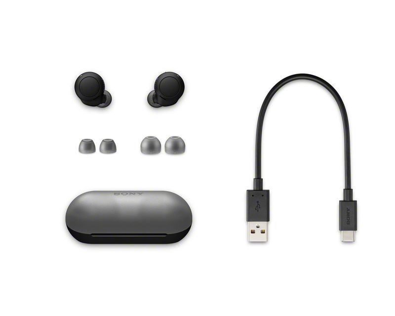 Sony-WF-C500---Auricolari-True-Wireless-Fino-a-20-ore-di-durata-della-batteria-con-custodia-di-ricarica-Compatibile-con-l-Assistente-Vocale-Microfono-integrato--Nero-