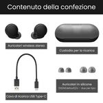 Sony-WF-C500---Auricolari-True-Wireless-Fino-a-20-ore-di-durata-della-batteria-con-custodia-di-ricarica-Compatibile-con-l-Assistente-Vocale-Microfono-integrato--Nero-