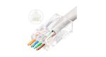 Lanview-LVN125305-cavo-di-collegamento-RJ45-Trasparente--RJ45-UTP-plug-Cat6-for---AWG23-24-stranded-solid---conductor-Ea