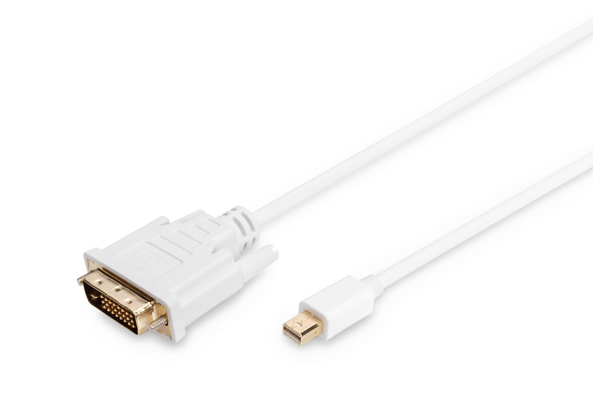 Digitus ASSMANN Electronic mini DP - DVI, 2m mini DisplayPort DVI-D Bianco