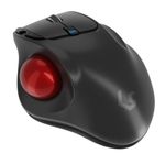 KeySonic KSM-6101RF-EGT mouse Mano destra RF Wireless 1000 DPI