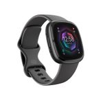 Fitbit Sense 2 Nero GPS satellitare (Fitbit Sense 2 - 40 mm - graphite - smart watch with band - graphite - wrist size u