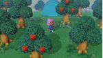 Nintendo-Animal-Crossing--New-Horizons-Standard-Tedesca-Inglese-Nintendo-Switch