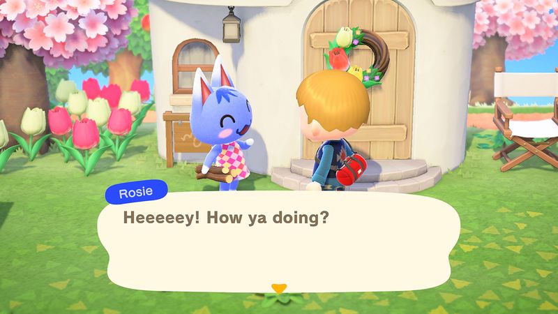 Nintendo-Animal-Crossing--New-Horizons-Standard-Tedesca-Inglese-Nintendo-Switch