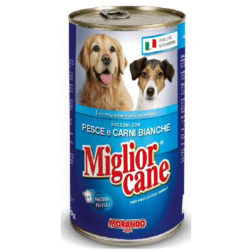 img-ecd2b746-2f3e-4be9-86b2-d44b9daa4433.png