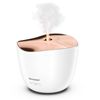 Sharp-DF-A1E-W-diffusore-di-aromi-Cisterna-Plastica-Oro-Bianco
