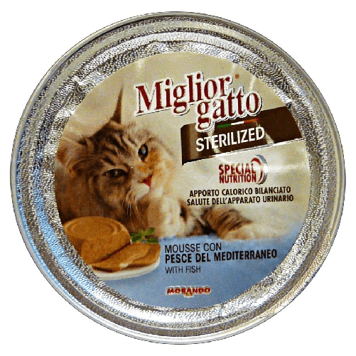 img-f892764f-8c8d-47b2-95ae-a680aae0fccb.png