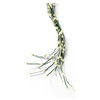 img-6963a347-5ac6-4340-8f81-01c2bd97b455.png