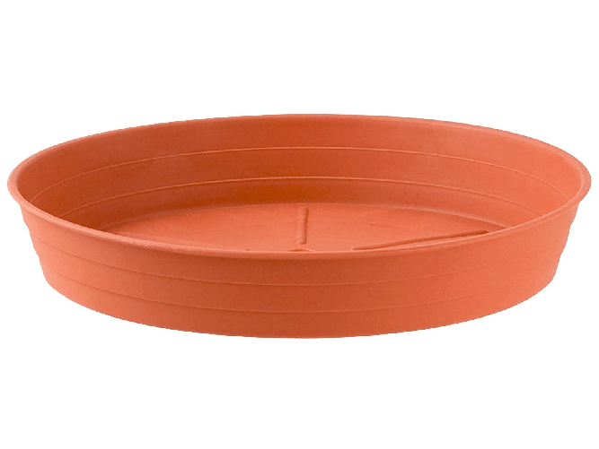 img-2f4b7959-d73c-4cae-855e-e6f812b26d8c.png