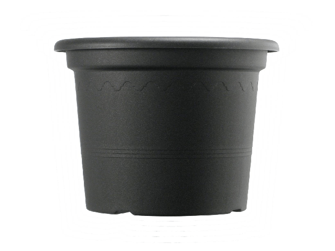 img-488643db-1eb0-48a0-bbf1-d32a98554742.png