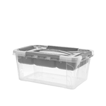 Box Hubert 29x19x12,4 Vassoio Grigio-11100 Trasparente Keeeper