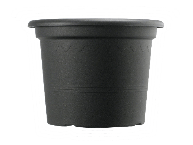 img-24f9841d-ef7c-4655-a8aa-a69f5babd44a.png