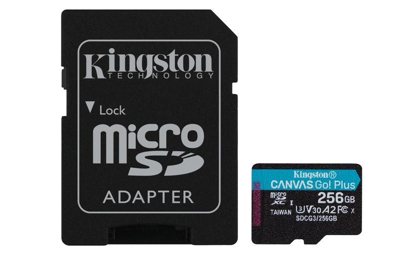 Kingston-Technology-Canvas-Go--Plus-256-GB-SD-UHS-I-Classe-10
