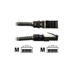 PatchSee PCI6Patch - cavo patch - da RJ-45 (M) a RJ-45 (M) - 60 cm - FTP - CAT 6a