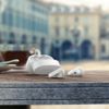 Philips-2000-series-TAT2206WT-00-cuffia-e-auricolare-True-Wireless-Stereo--TWS--In-ear-Musica-e-Chiamate-Bluetooth-Bianco