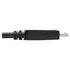 Tripp-Lite-P581-006-cavo-e-adattatore-video-183-m-DisplayPort-DVI-D-Nero-Bianco