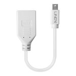 Lindy-Kabel---Adapter-015-m-mini-DP-DP-Bianco