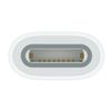 Apple-USB-C-to-Pencil-Adapter-Bianco-1-pz