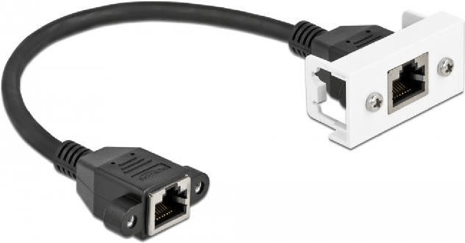 DeLOCK Cavo di estensione di rete per Easy 45 Modulo S/FTP da RJ45 femmina a RJ45 femmina Cat.6A 25 cm nero