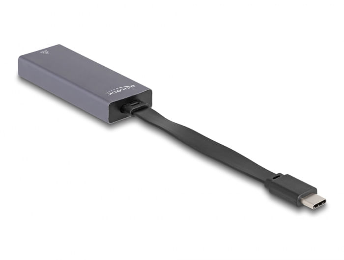 Delock Adattatore USB di tipo C a 25 Gigabit LAN slim